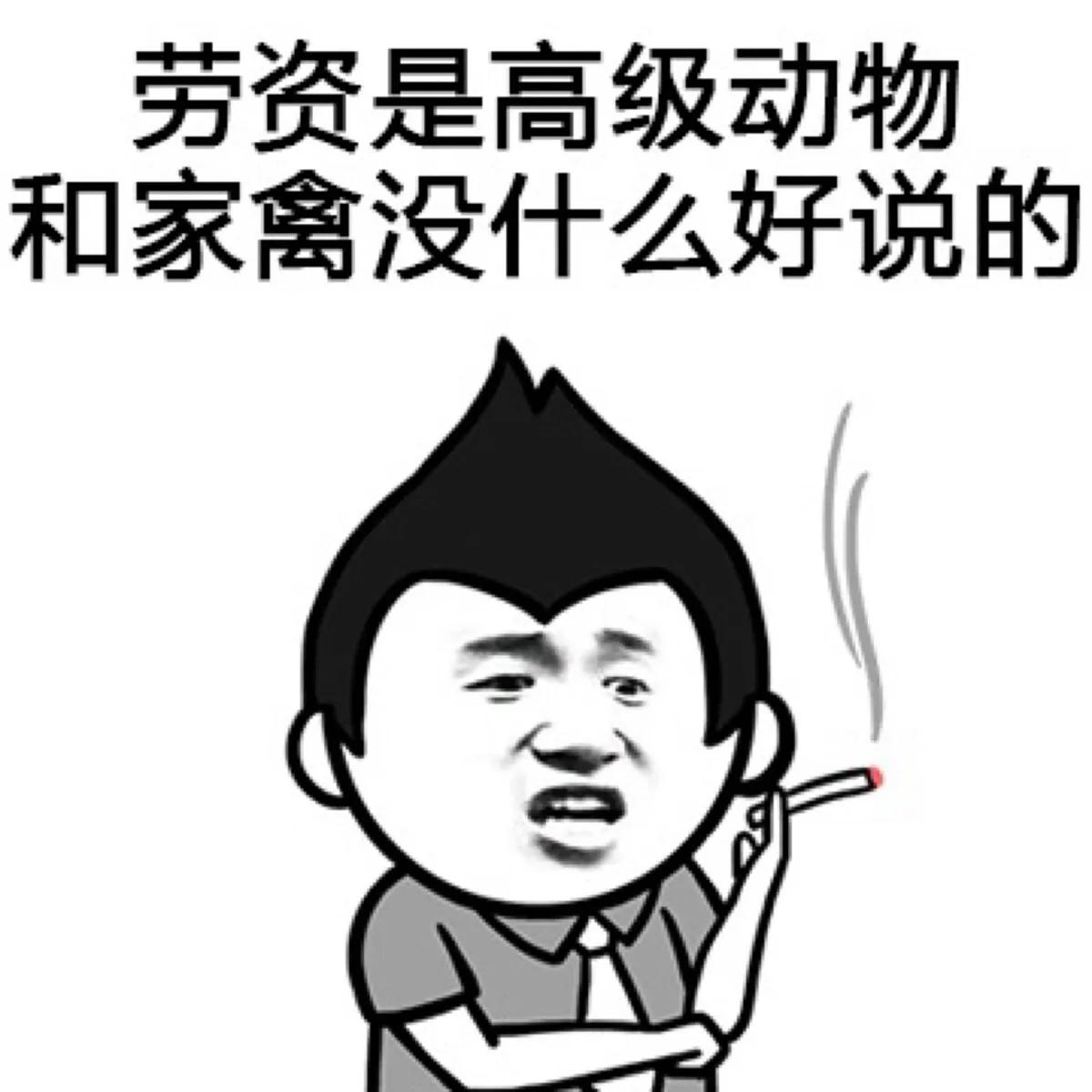最经典的骂人语句